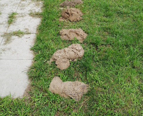 Brunnen Burgstraße (7)