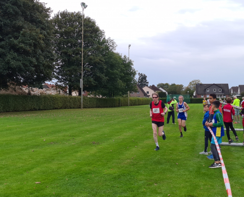 Crosslauf Bergen VII